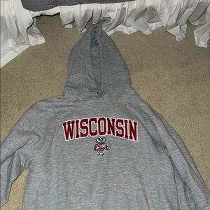 Wisconsin Gray Hoodie